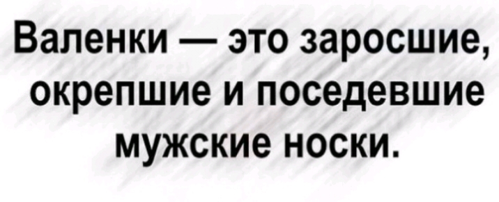 Валенки это заросшие окрепшие и поседевшие мужские носки