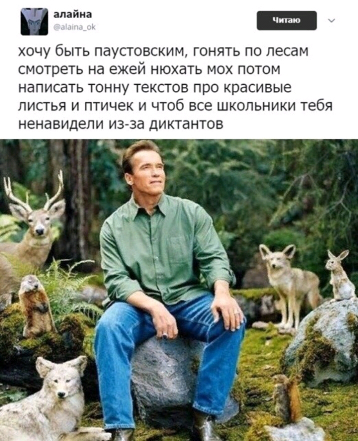 хочу быть паустовским гонять по лесам смотреть на ежей нюхать мох потом написать тонну текстов про красивые листья и птичек и чтоб все школьники тебя ненавидели из за диктантов