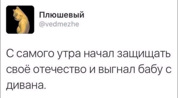 Плюшевый С самого утра начал защищать своё отечество и выгнал бабу с дивана
