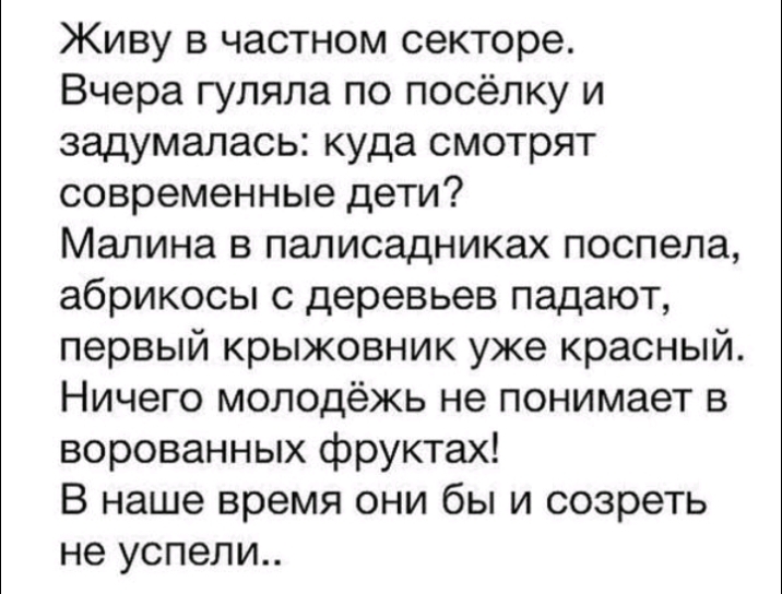 Живу в частном секторе Вчера гуляла по посёлку и задумалась куда смотрят современные дети Малина в палисадниках поспела абрикосы с деревьев падают первый крыжовник уже красный Ничего молодёжь не понимает в ворованных фруктах В наше время они бы и созреть не успели