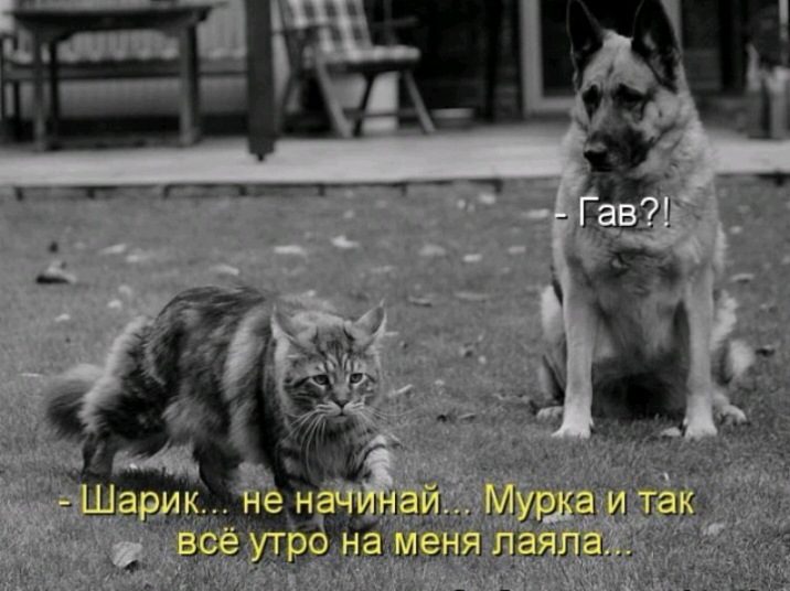 1і12121 д И _ _ Ц ЕцЦЭЫі Далла