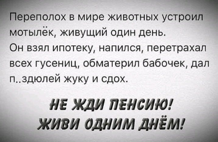 реполох в мире животных устрои мотылёк живущий один день Он взял ипотеку напился перетрахал всех гусениц обматерил бабочек дал пздюлей жуку и сдох НЕ Жди ПЕНСИЮ _ _ живи одним днём