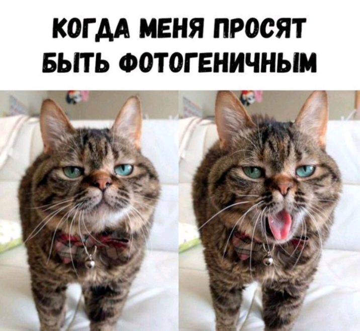 КОГ АА МЕНЯ ПРОСЯТ БЬПЬ ФОТОГЕНИЧНЫМ я Ё 4 ч е