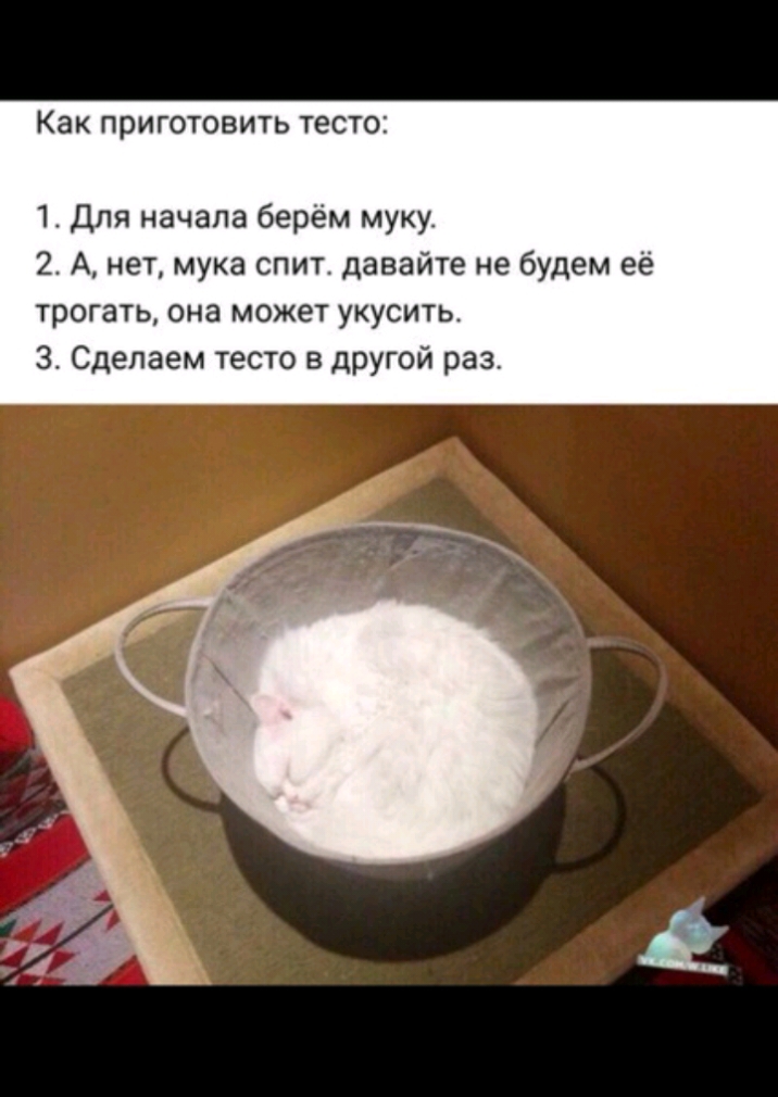 К К приг ТОВИТЬ ТЕСТО 1 Для начала берём муку 2 А нет мука спит давайте не будем её трогать она может укусить 3 Сделаем тесто в другой раз