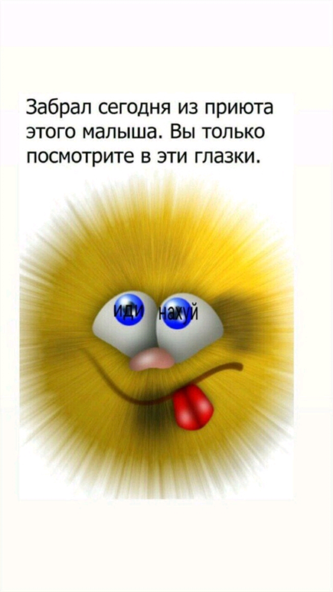 Забрал сегодня из приюта этого малыша Вы только посмотрите в эти глазки
