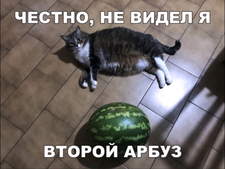 честно не цидэдігя ВТОРОЙ АРБУЗ