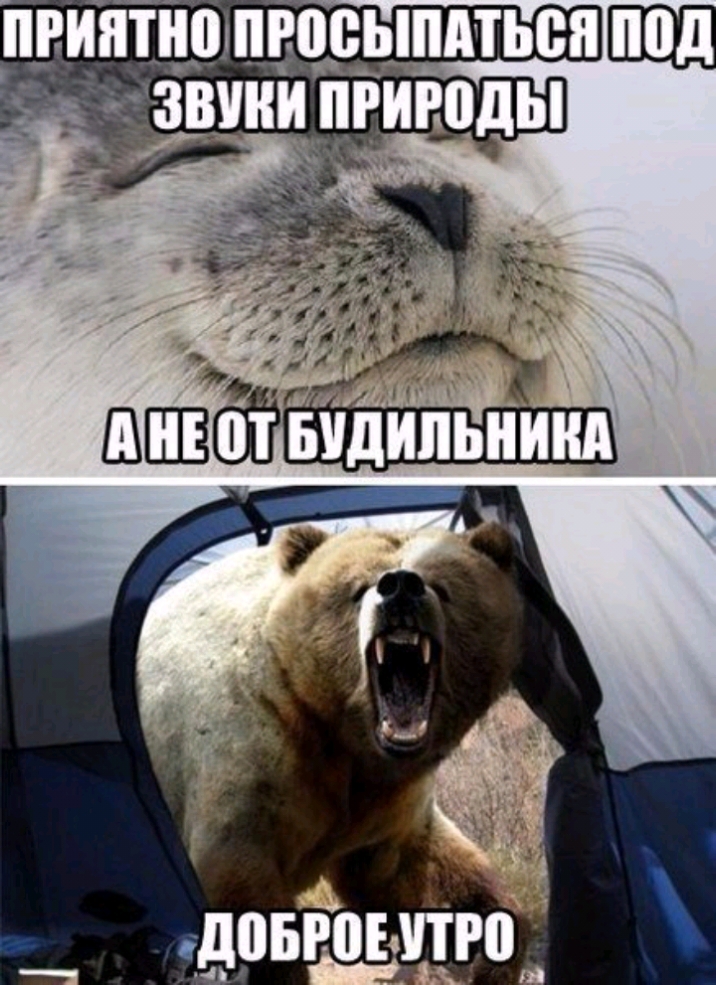 принщшштщдодьппдтьсн 13 ПРИЕМЫ