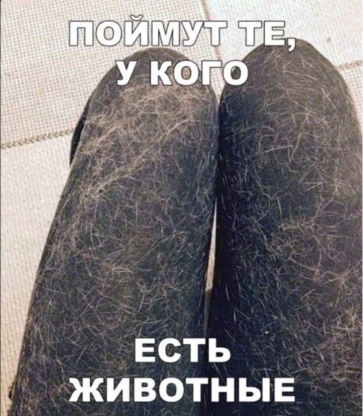 _ Есть _ жи ВОТНЫЕ