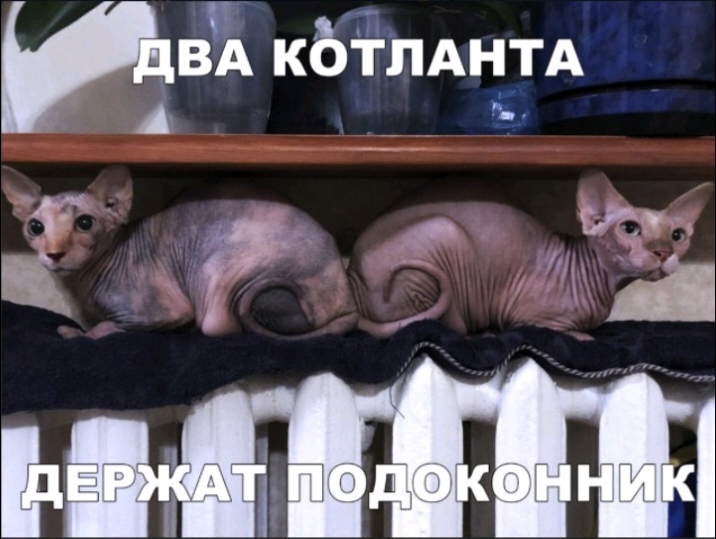 ИВА КЬТЛАНТА _ Ц Ц