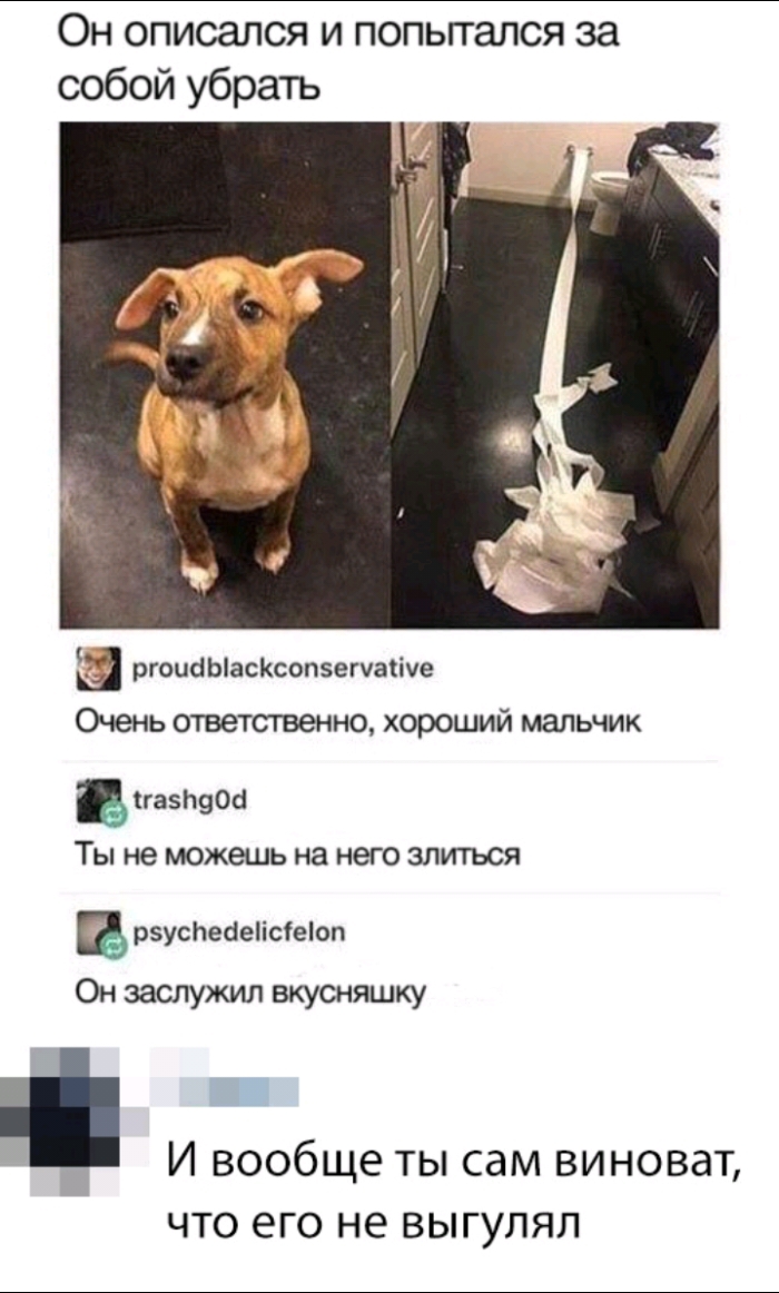 Он описался и попьггался за собой убрать ргоиаЫасКсопзегчаііуе Очень ответственно хороший мальчик виазпвоа Ты не можешь на него злиться в рзуспеаеіістеіоп Он заслужил вкусняшку _ И вообще ты сам виноват ЧТО его не ВЫГУЛЯП