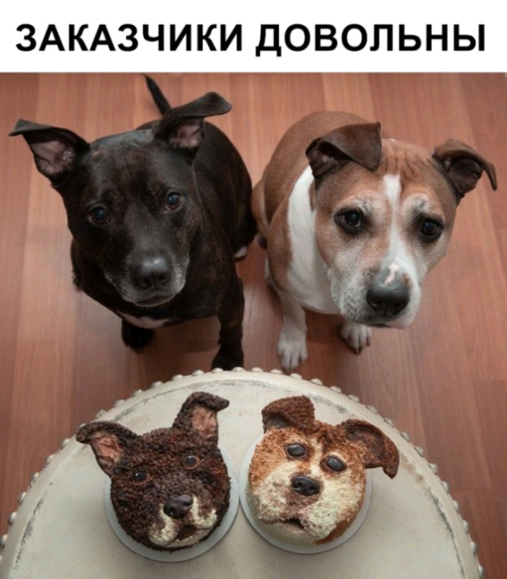 ЗАКАЗЧИКИ ДОВОЛЬНЫ