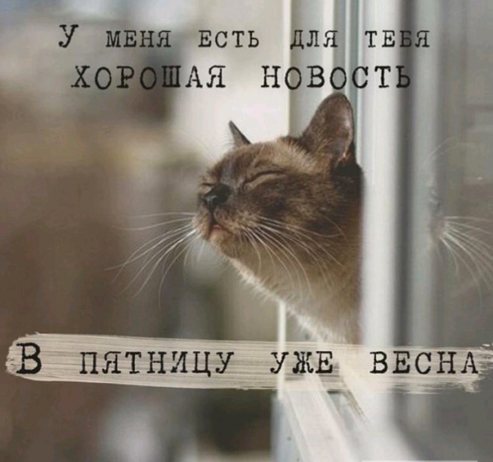 еВ пятницупщ вран