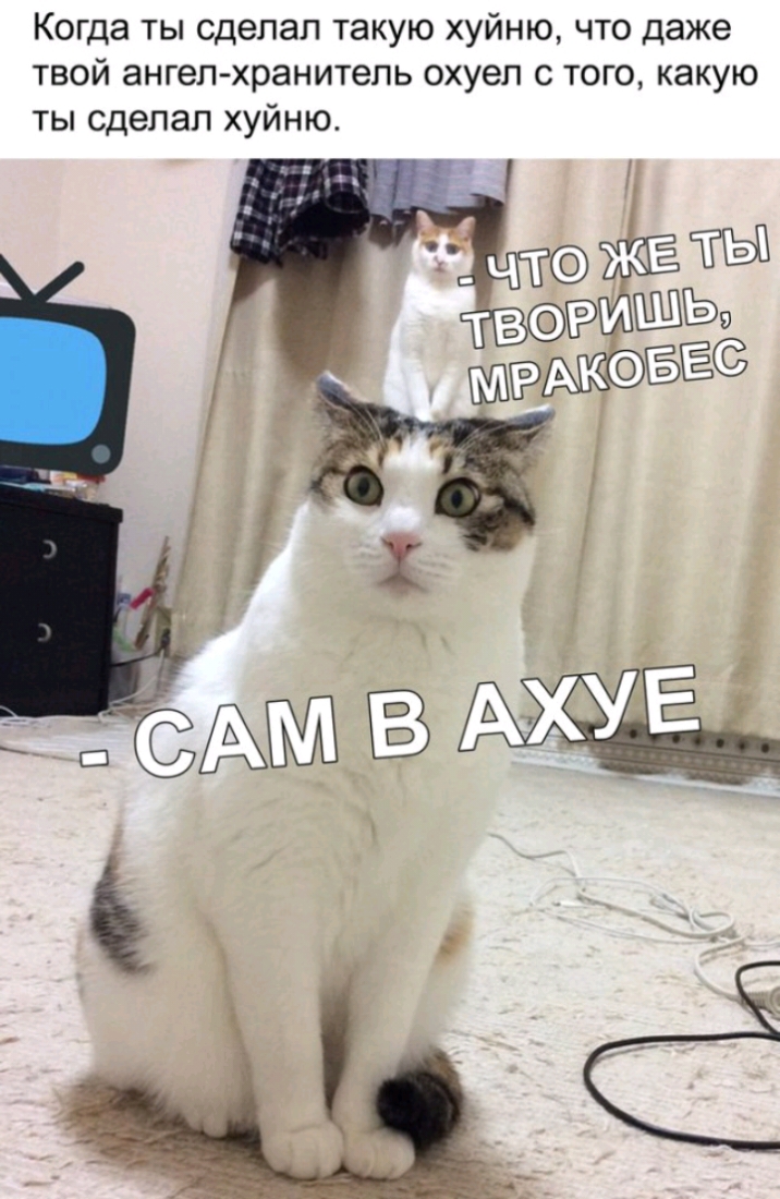 Когда ты сделал такую хуйню что даже твой ангел хранитель охуел с того какую ты сделал хуйню