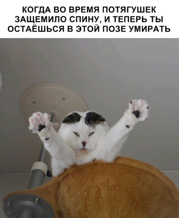 КОГДА ВО ВРЕМЯ ПОТЯГУШЕК ЗАЩЕМИЛО СПИНУ И ТЕПЕРЬ ТЫ ОСТАЁШЬСЯ В ЭТОЙ ПОЗЕ УМИРАТЬ
