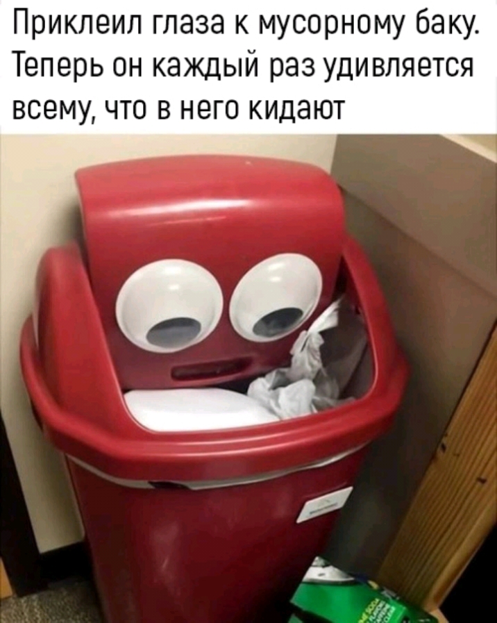 Приклеил глаза к мусорному баку Теперь он каждый раз удивляется всему что в него кидают