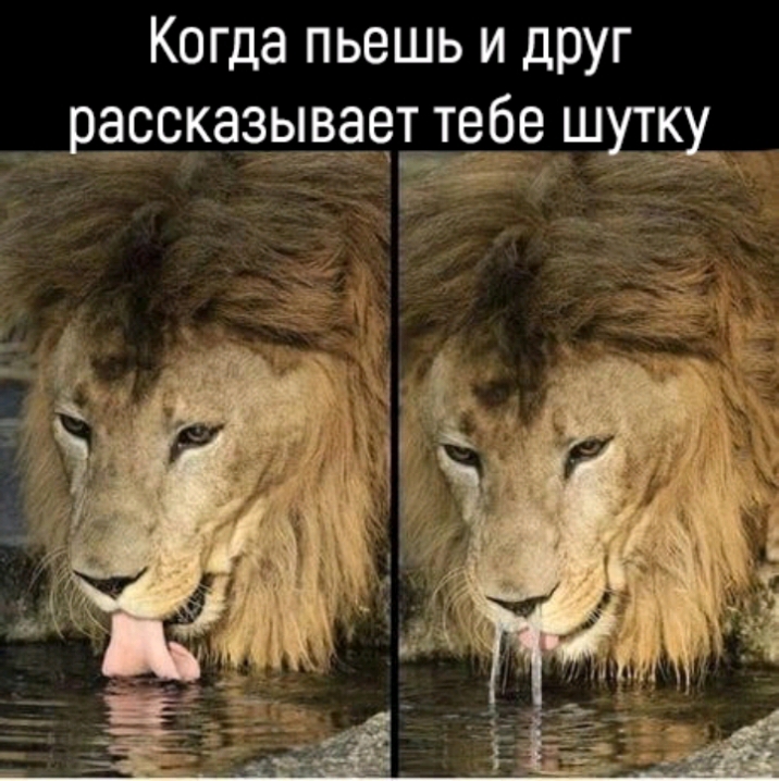 Когда ПЬВШЬ И друг ассказывает тебе ш Р Н _ Д