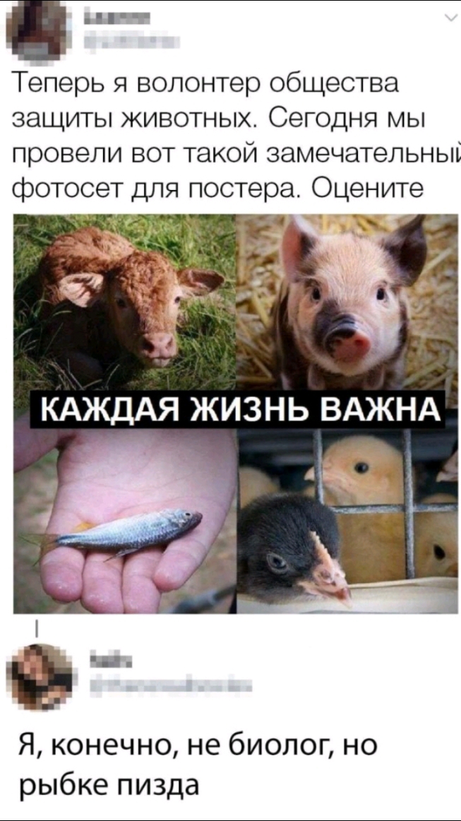 Теперь я волонтер общества защиты животных Сегодня мы провели вот такой замечательный КАЖДАЯ ЖИЗНЬ ВАЖНА Аз О Я конечно не биолог но рыбке пизда
