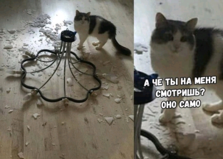 _ А Ё нд пеня _ смотриш _ _ оно смо 1