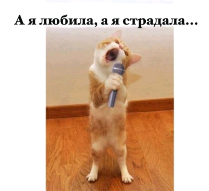 А я любила а я страдала