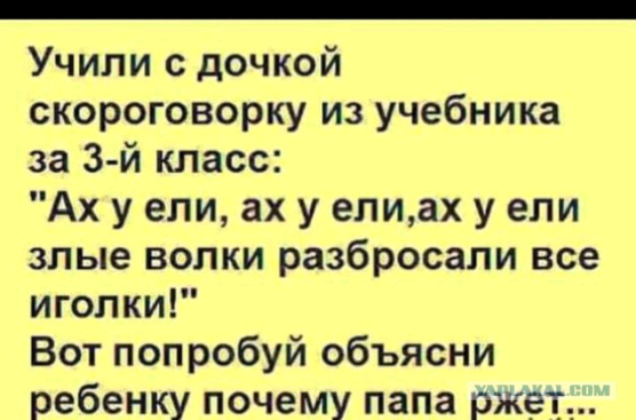 Учили с дочкой скороговорку из учебника за 3 й класс Ах у ели ах у елиах у ели злые волки разбросали все иголки Вот попробуй объясни ребенку почему папа ржал