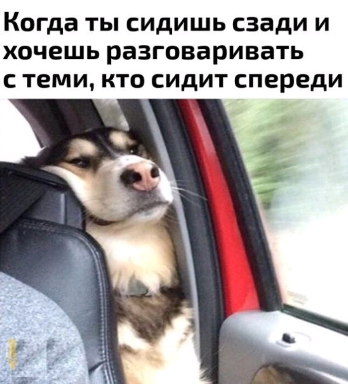 Когда ты сидишь сзади и хочешь разговаривать с теми кто сидит спереди
