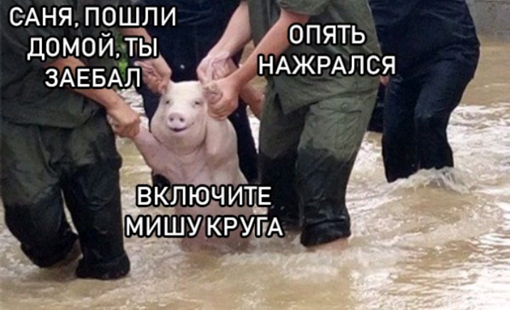 БАНЯ прШли дощоидтёі ЗАЕБАЛ