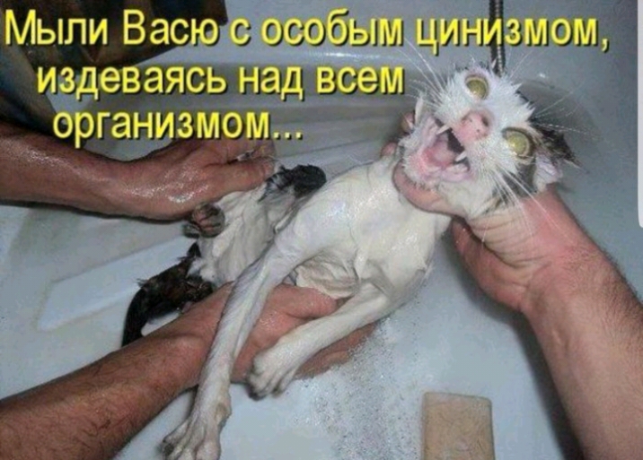 Мыпи ВЁС Ёбсобьш ц издеваясь на _ _