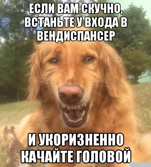Ш и ёдЧдИТЕ ГПППВП миинпгизнънно