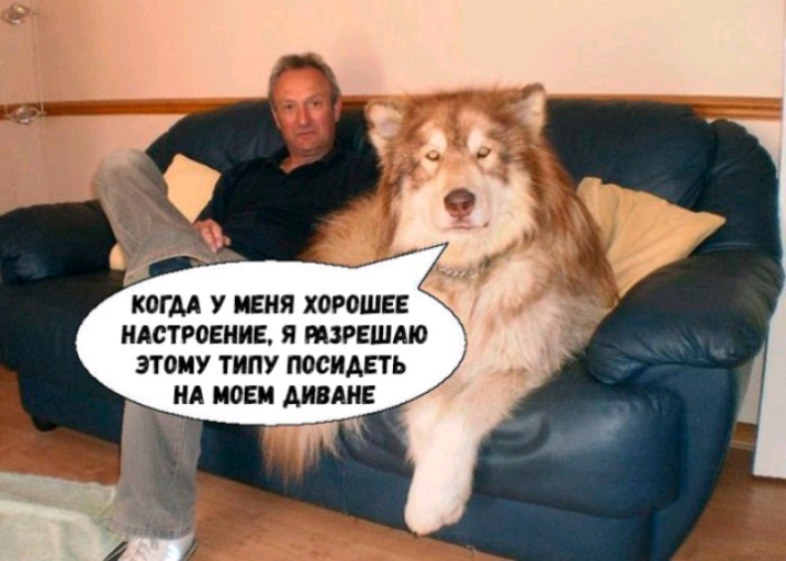 КОГДА У МЕНЯ ХОРОШЕЕ НАСТРОЕНИЕ Я МЗРЕШАЮ ЭТОМУ ТИПУ ПОСИАЕТЬ НА МОЕМ АИНАНЕ