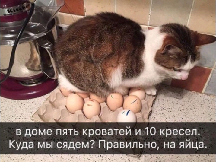 в доме пять кроватей и 10 кресел Куда мы сядем Правильно на яйца 7