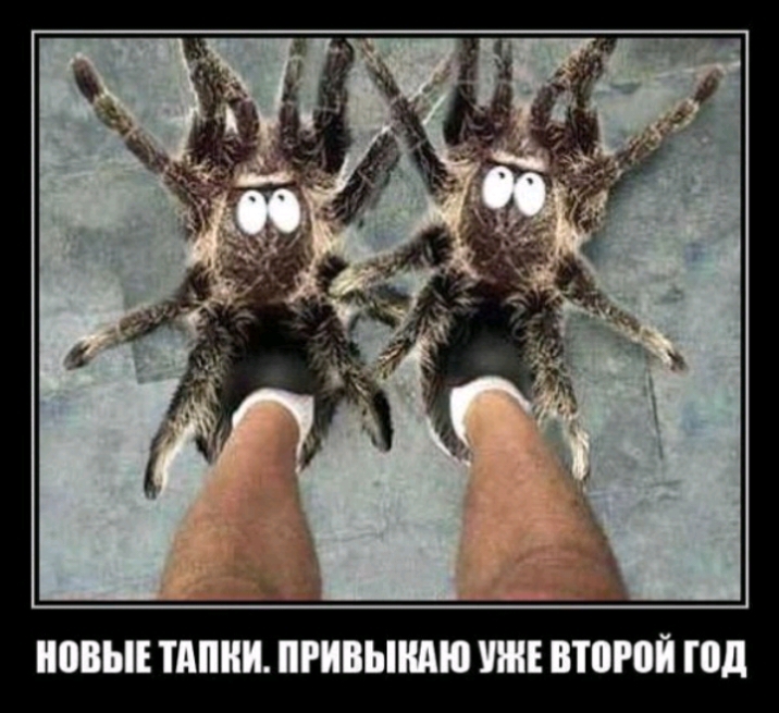 д о й Р в в т в и п и и м В в о
