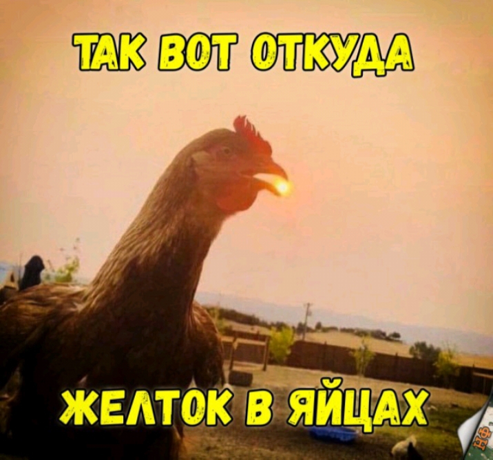 ЖЕАТЗКРЯЙЦА