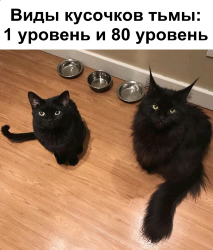 Виды кусочков тьмы 1 уровень и 80 уровень