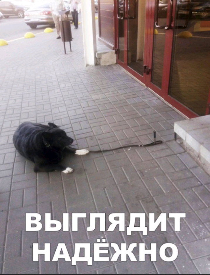 ВЫГПЯДИЧЦ НАДЕЖНО