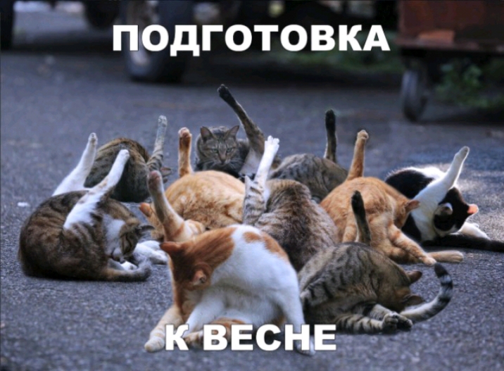 цодготдовкд