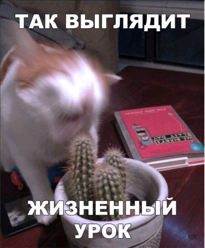 ТАК ВЫГПЯДИТ