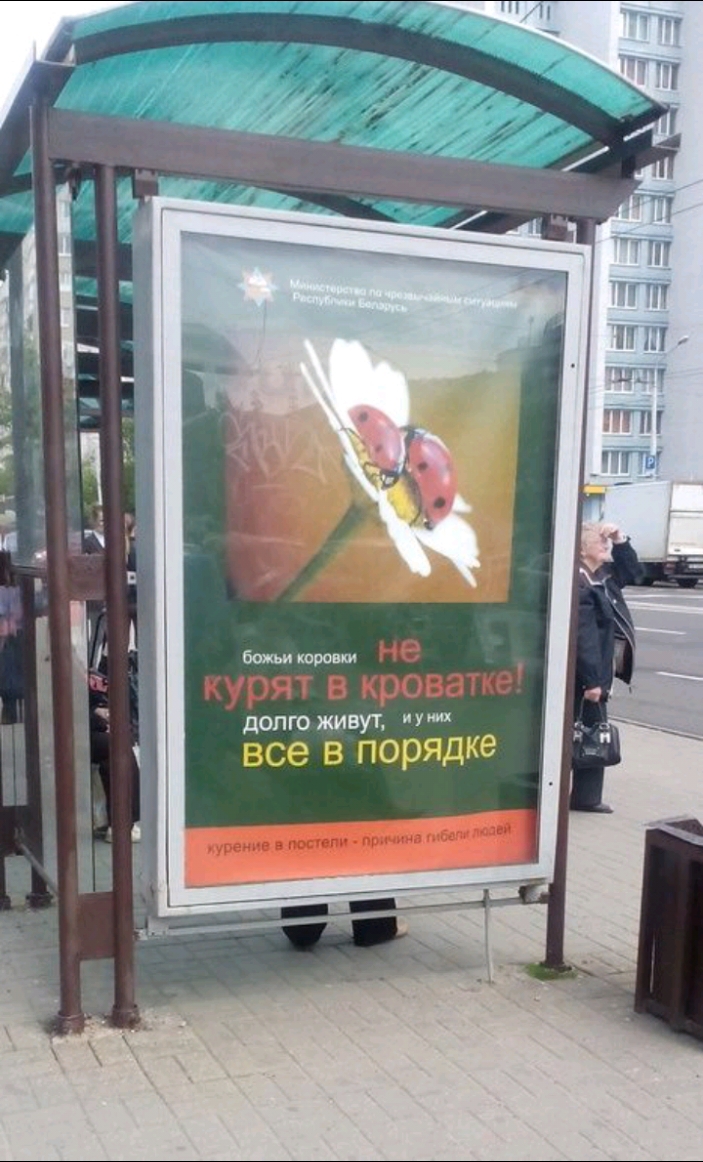 долго живут У все в порядке