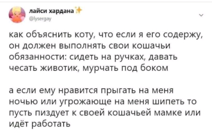 лайт кардан 1 так как ОбЪЯСНИТЬ КОТУ ЧТО если Я его содержу ОН ДОЛЖЭН ВЫПОЛНЯТЬ СВОИ КОШЭЧЬИ 06ЯЗЗНН0СТИ СИДЕТЬ Нд ручках давать чесать ЖИВОТИК мурчать ПОД бОКОМ а ЕСЛИ ему НРЗБИТСЯ ПРЫГЗТЬ на меня НОЧЬЮ ИЛИ УГРОЖЗЮЩЭ на МЕНЯ ШИПЕТЬ ТО пусть пиздует к своей кошачьей мамке или идёт работать