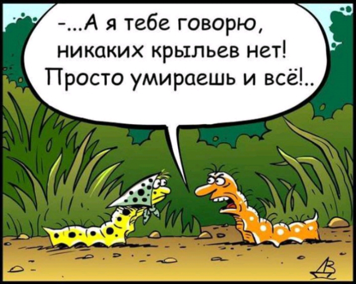 А я тебе говорю никаких крыльев нет Просто умираешь и всё