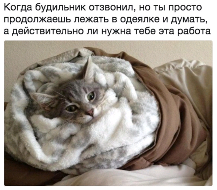 Когда будильник отзвонип но ты просто продолжаешь лежать в одеялке и думать а действительно ли нужна тебе эта работа