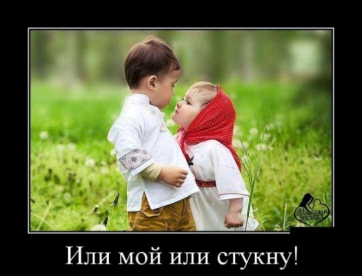 Или мой или стукну