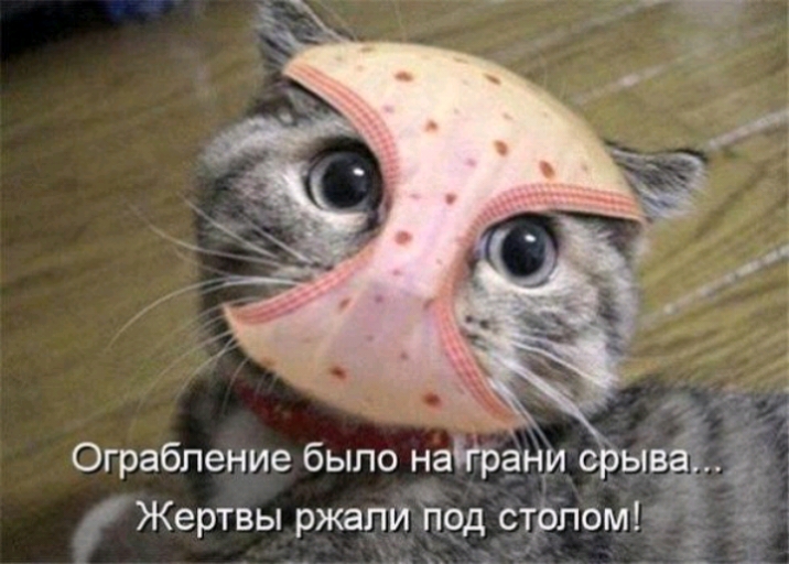 Ограбление было награни срыва Жертвы ржали под столом