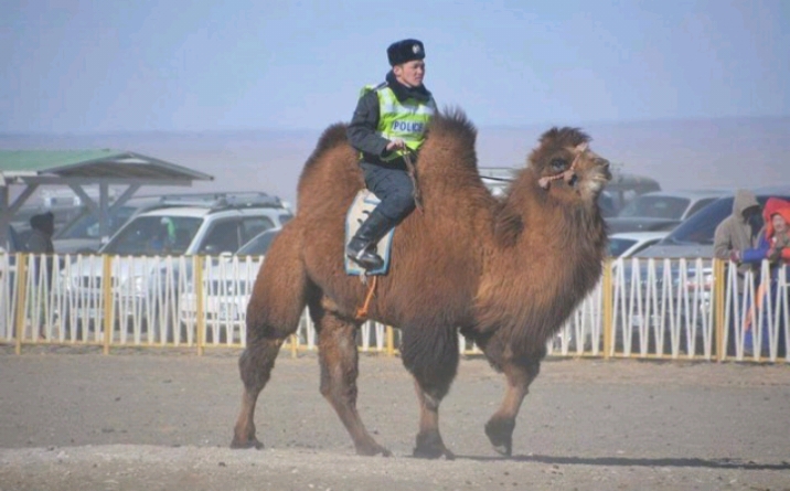 7 Ев_і