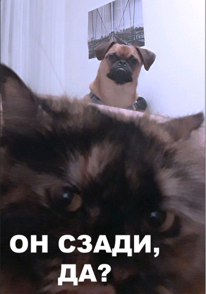 он сздди дА