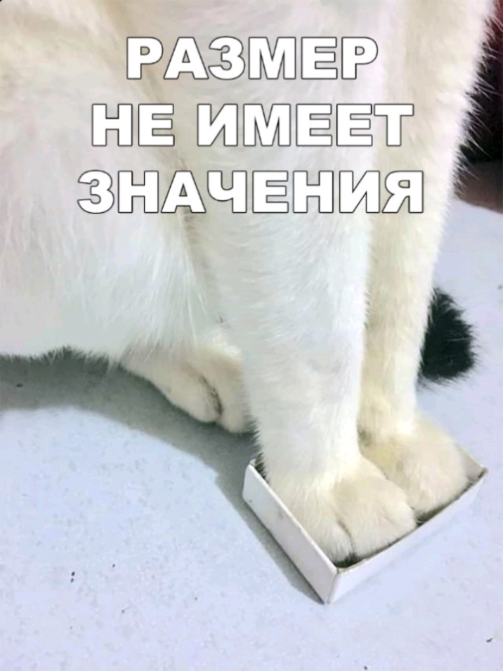 НЕЁ ЁЁЁ ЕЗАЁЁЗЫШЁР ЁШЁ