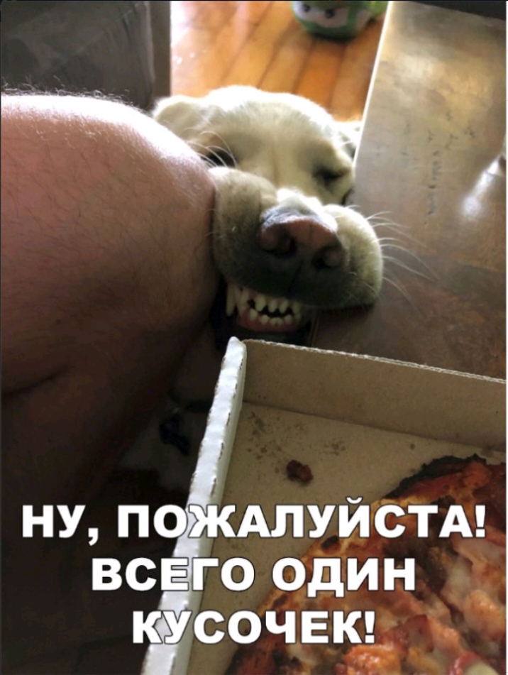 ну п ААЛУЙСТА всЕ 0 один к сочвкд