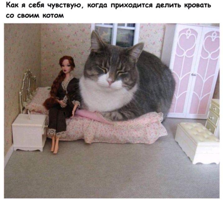 Как я себя чувствую когда приходится делить кроить со своим потом __ __