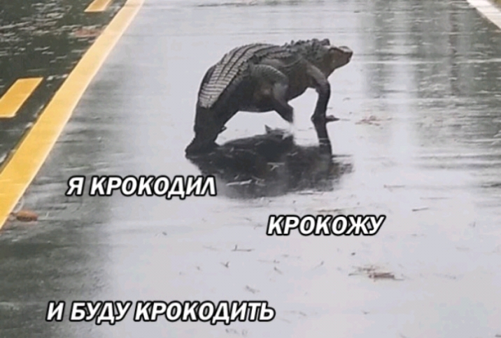 кротжу КРОКОДИТЬ