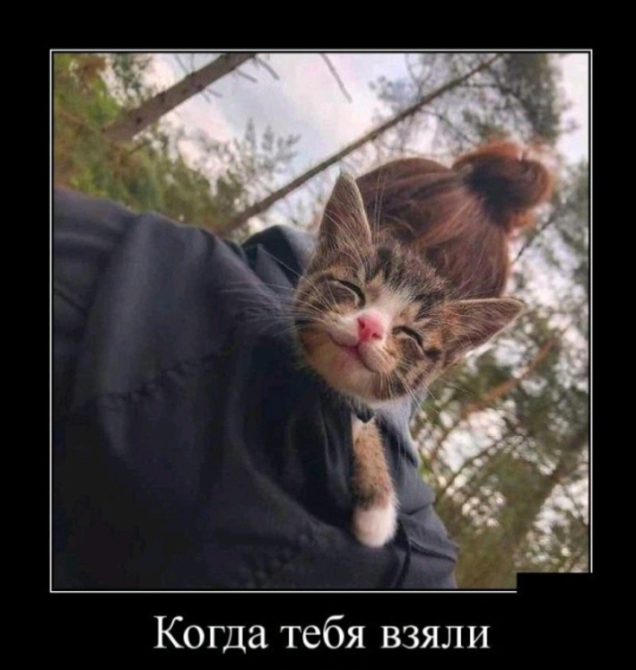 Когда тебя взяли