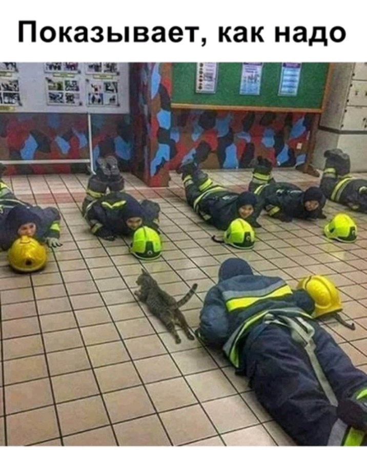 Показывает как надо